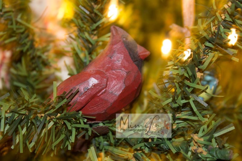 Christmas Cardinal