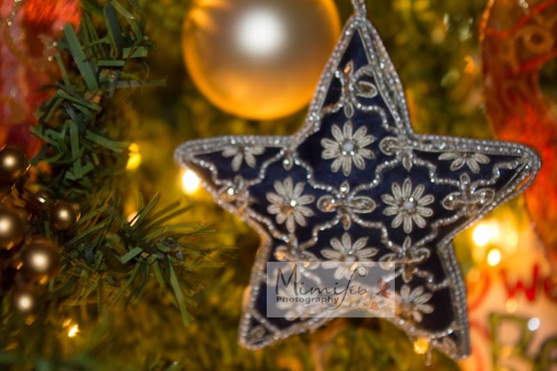 Christmas Star