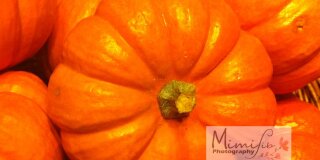 Photo of Orange Pumpkin